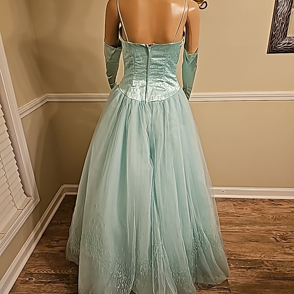 Prom Dress - Picture 7 of 8
